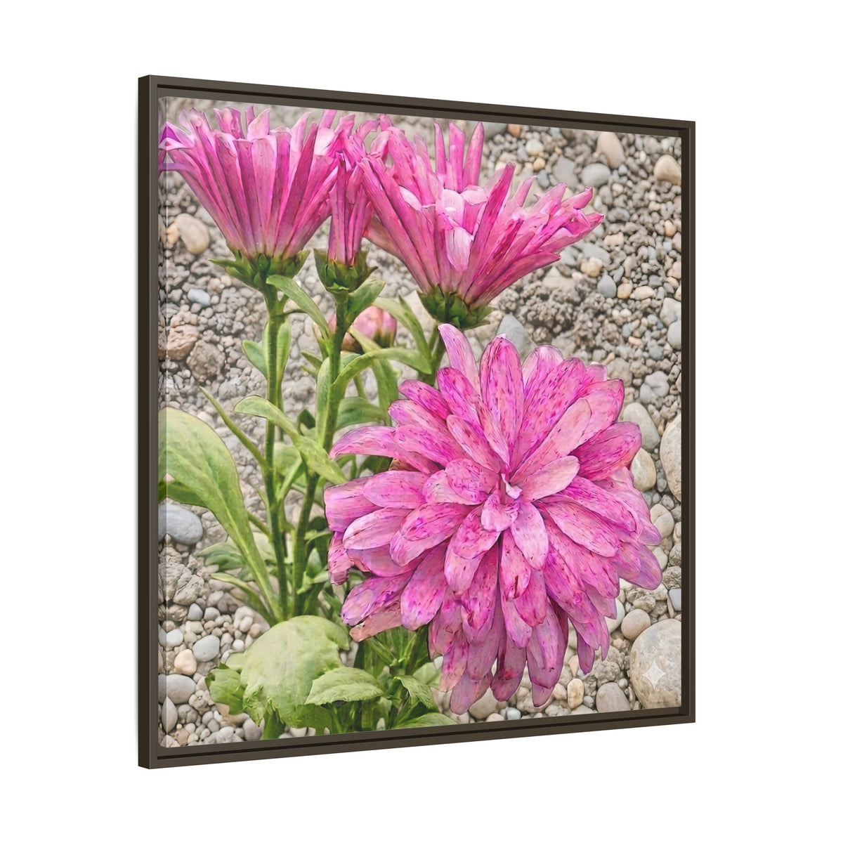 Pink Dahlia Photo Canvas Framed Wall Art