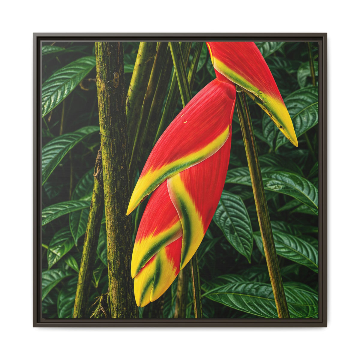 Tropical Heliconia Canvas Print — Framed Matte Wall Art