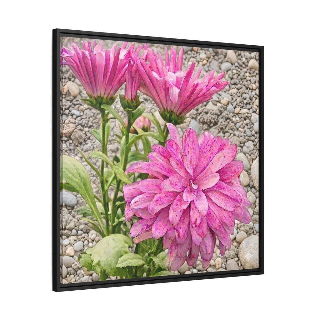 Pink Dahlia Photo Canvas Framed Wall Art