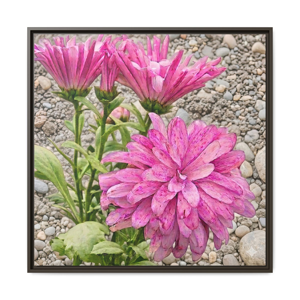Pink Dahlia Photo Canvas Framed Wall Art