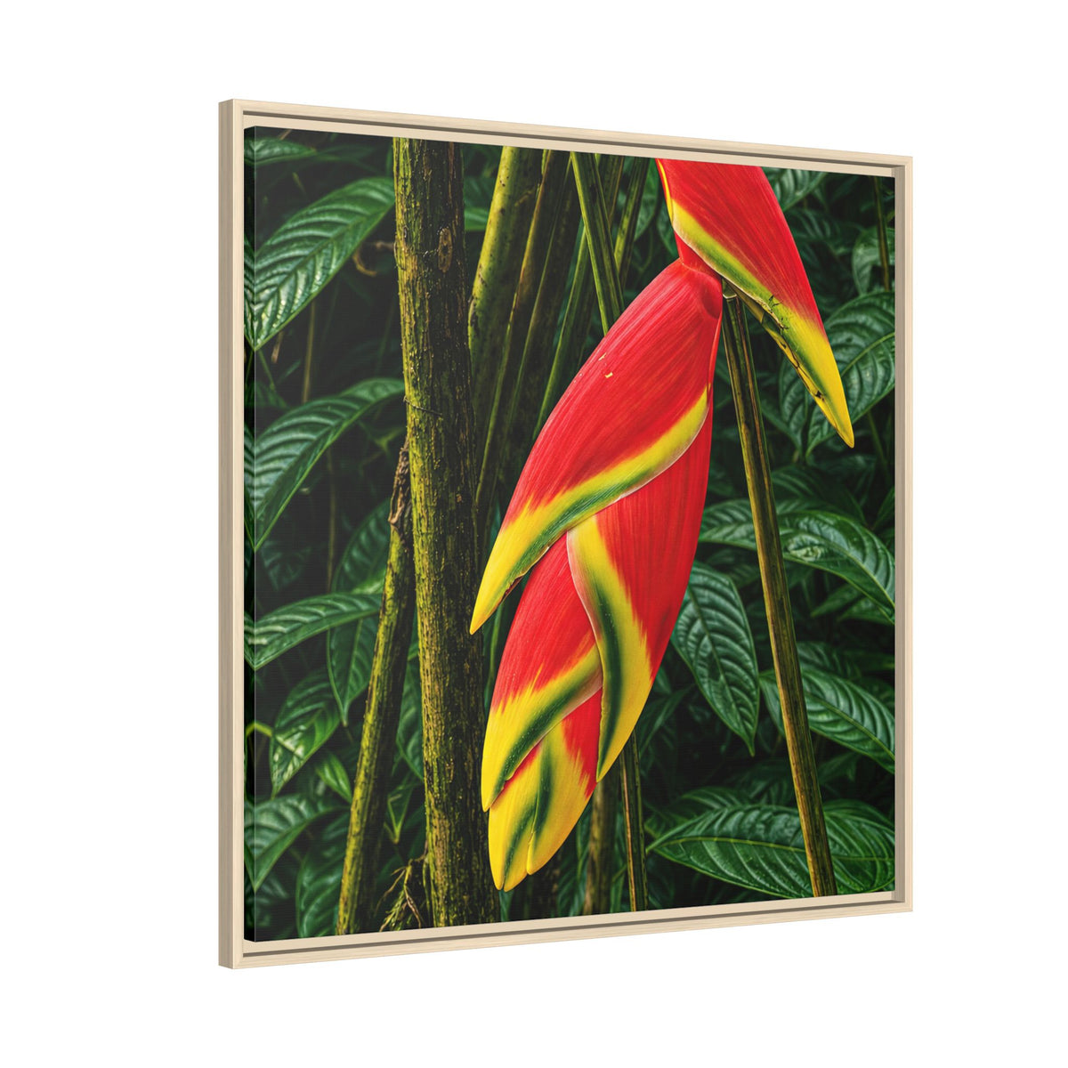 Tropical Heliconia Canvas Print — Framed Matte Wall Art