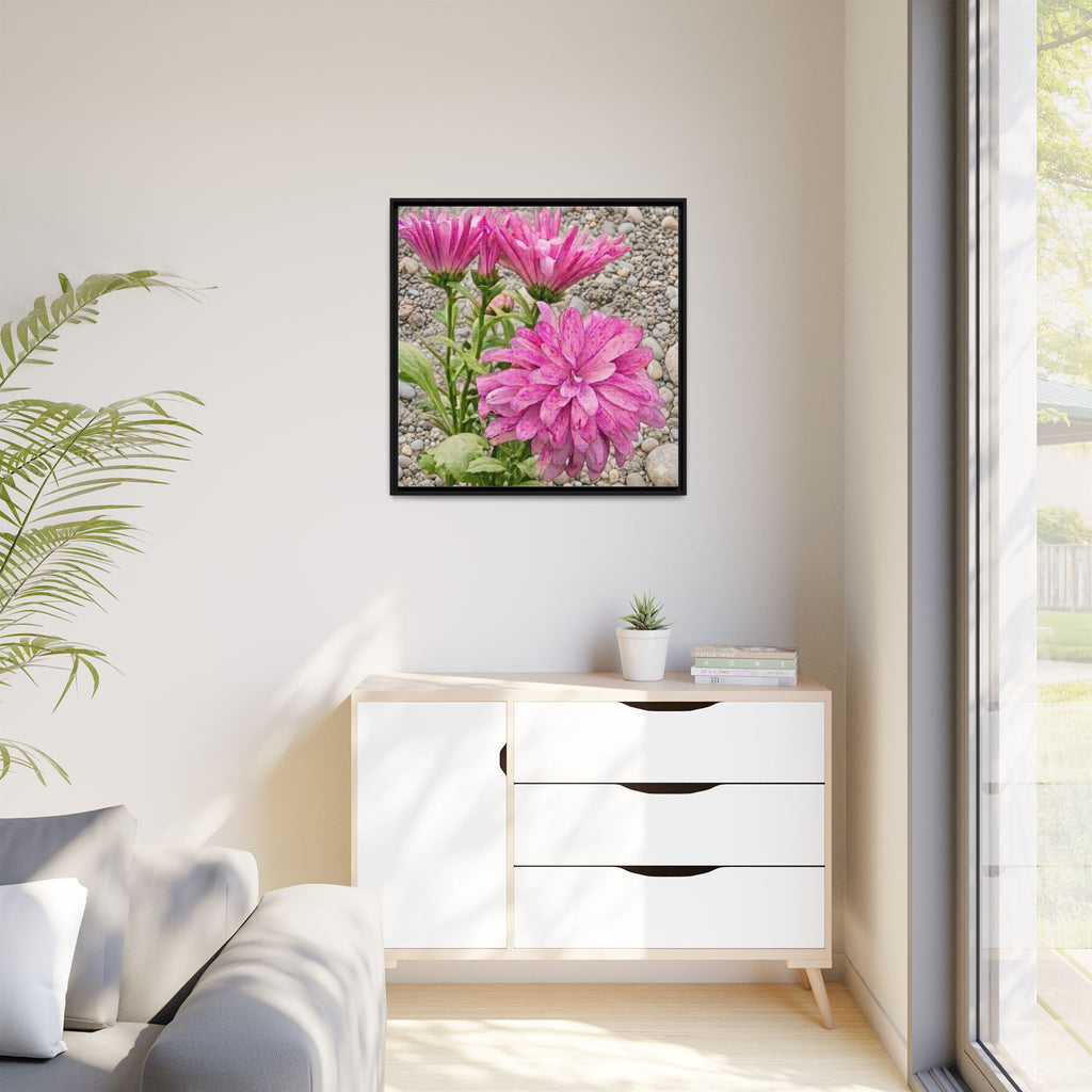 Pink Dahlia Photo Canvas Framed Wall Art