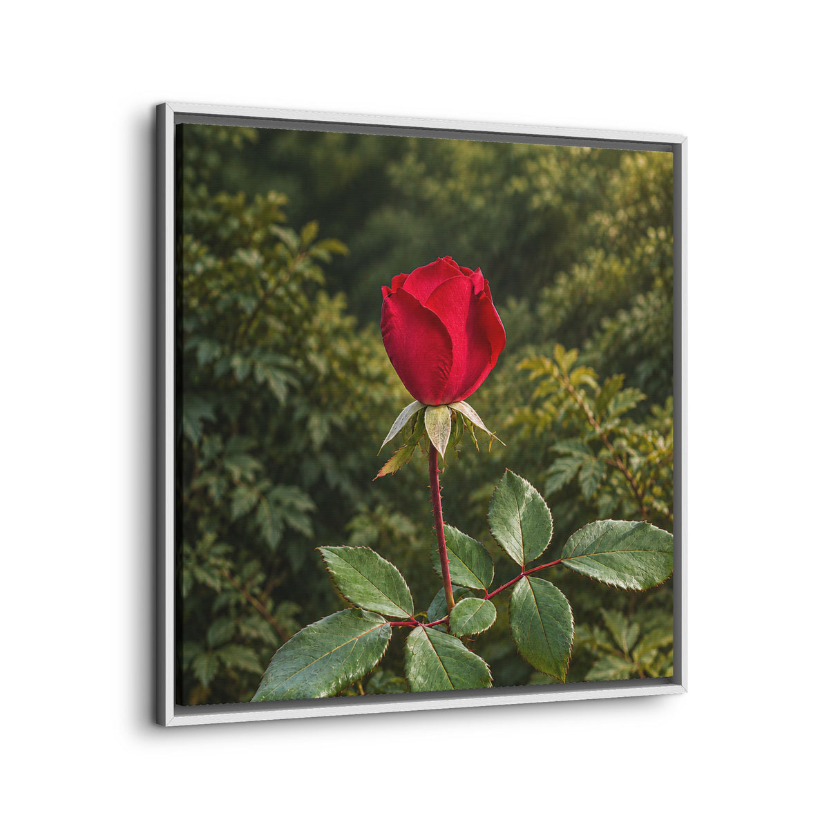 Framed Canvas Red Rose Botanical Wall Art