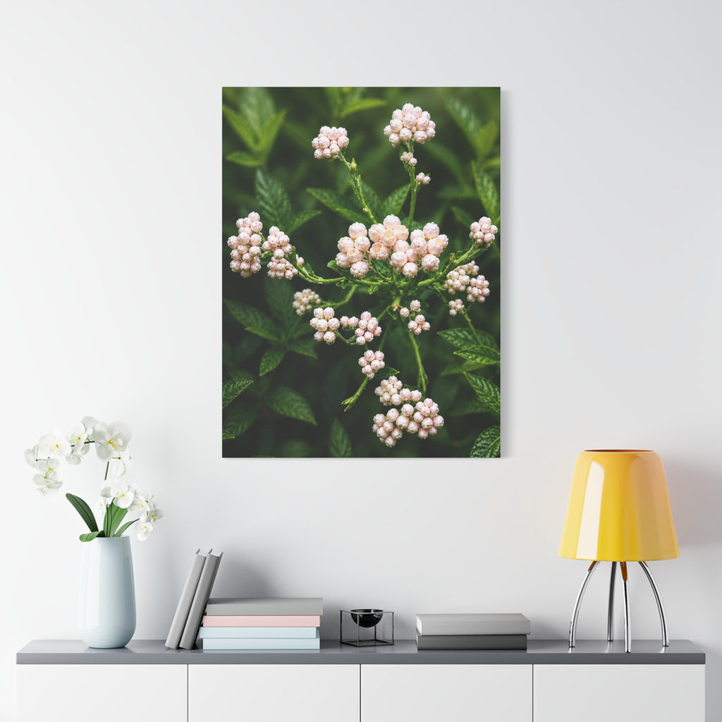 Pearl Dew Blossoms
