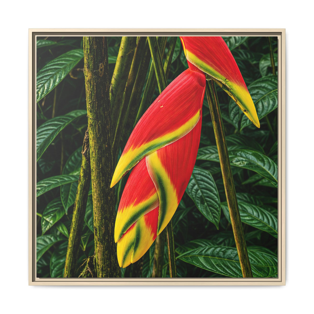 Tropical Heliconia Canvas Print — Framed Matte Wall Art