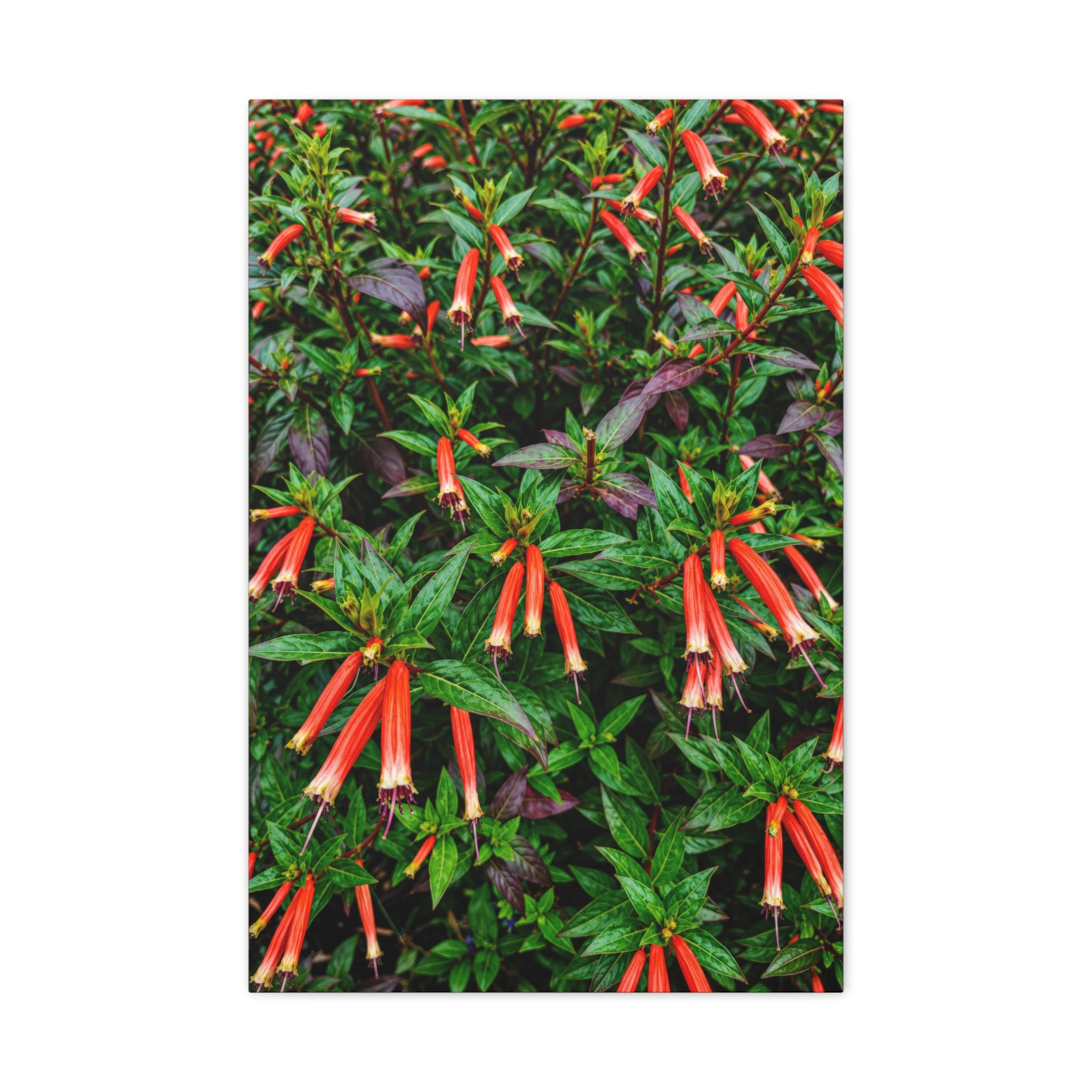 Ember Bells