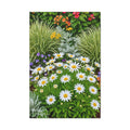 Sunlit Daisies Floral Canvas Wall Art – Bright Botanical Wall Decor
