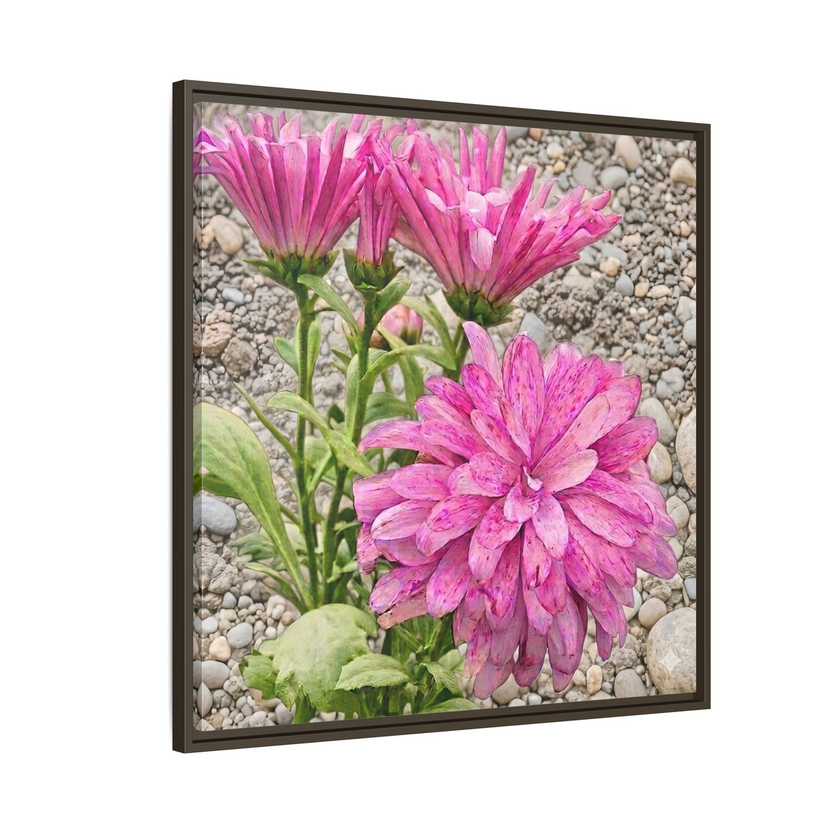Pink Dahlia Photo Canvas Framed Wall Art