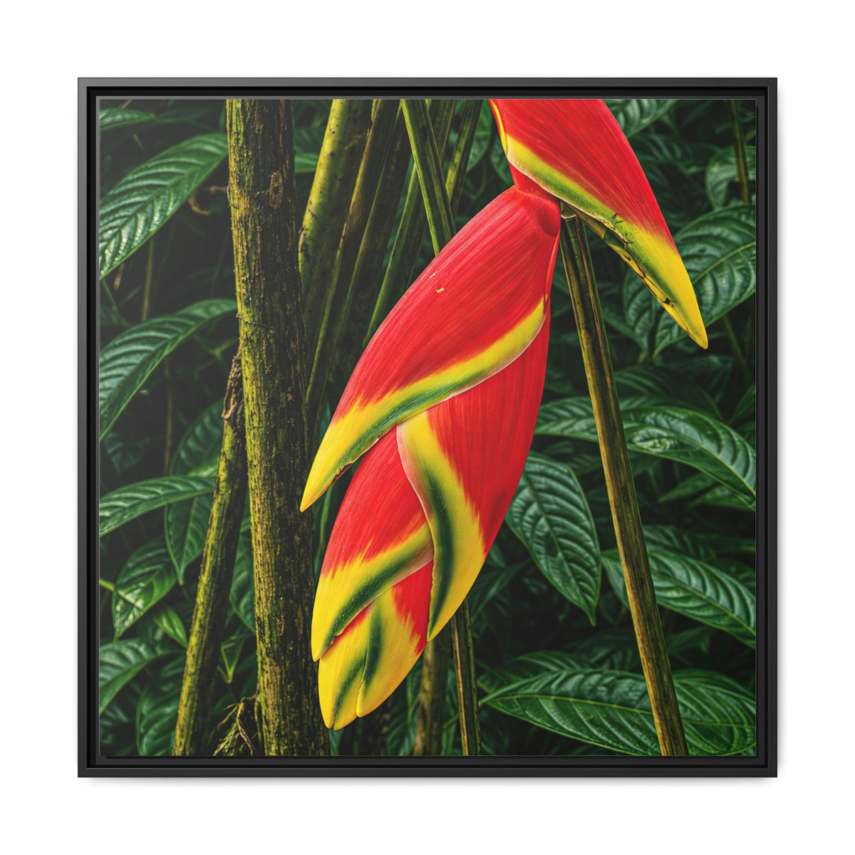 Tropical Heliconia Canvas Print — Framed Matte Wall Art
