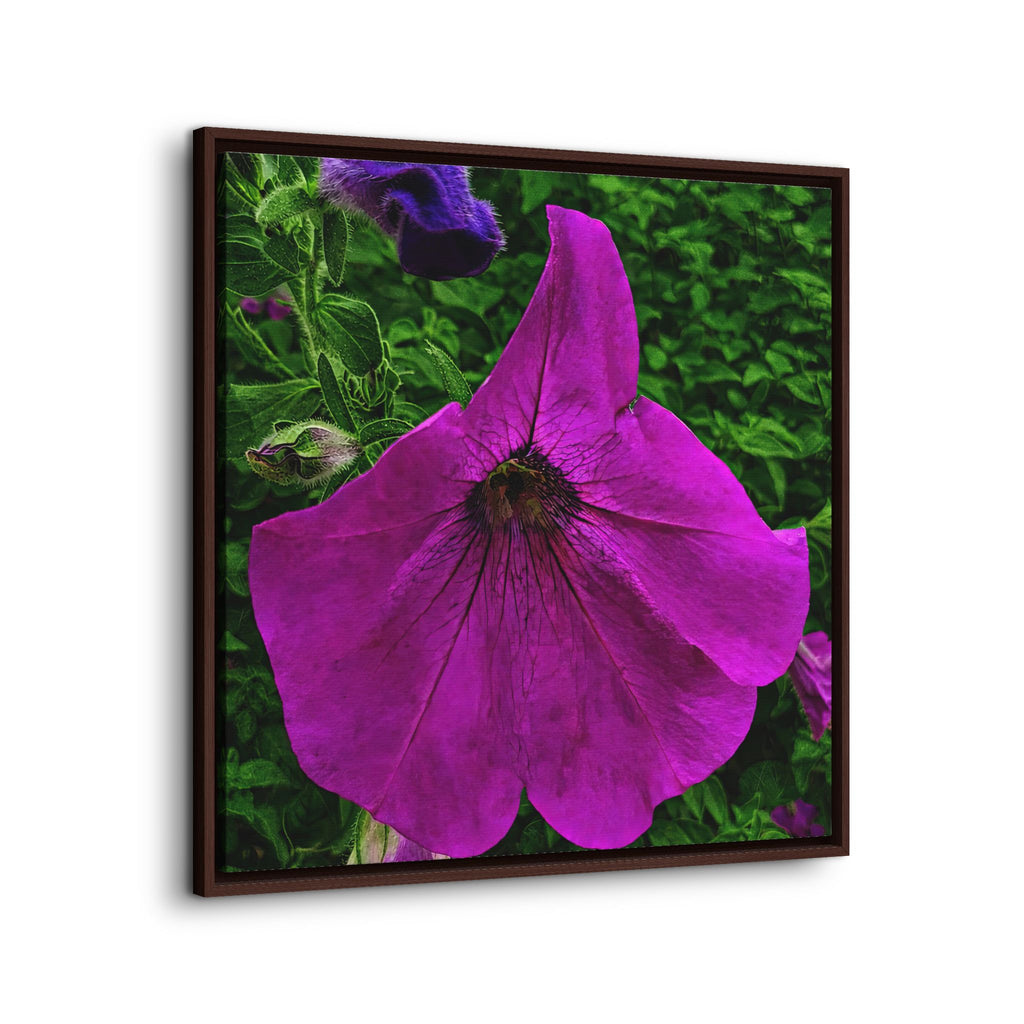 Framed Purple Petunia Floral Canvas Print
