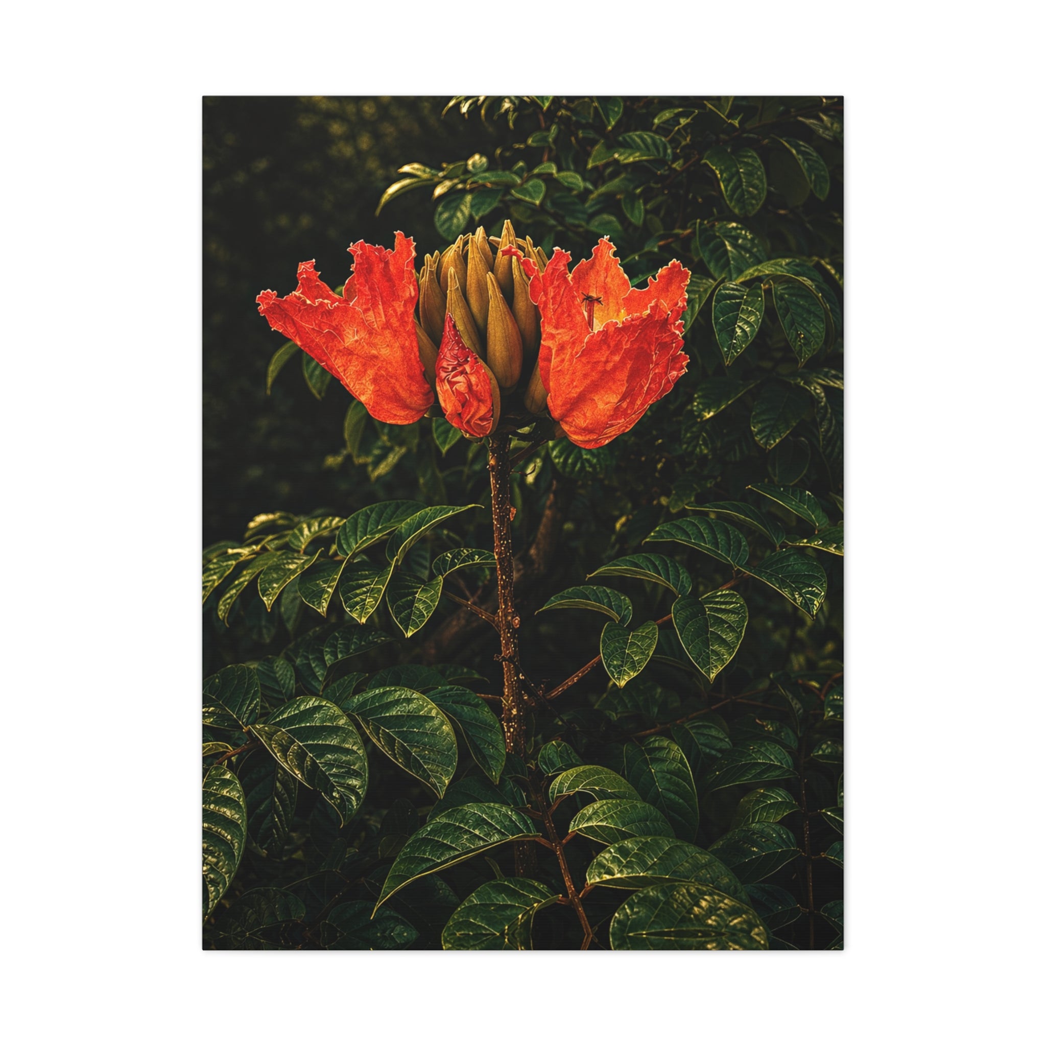 Red Blossom Unveiled