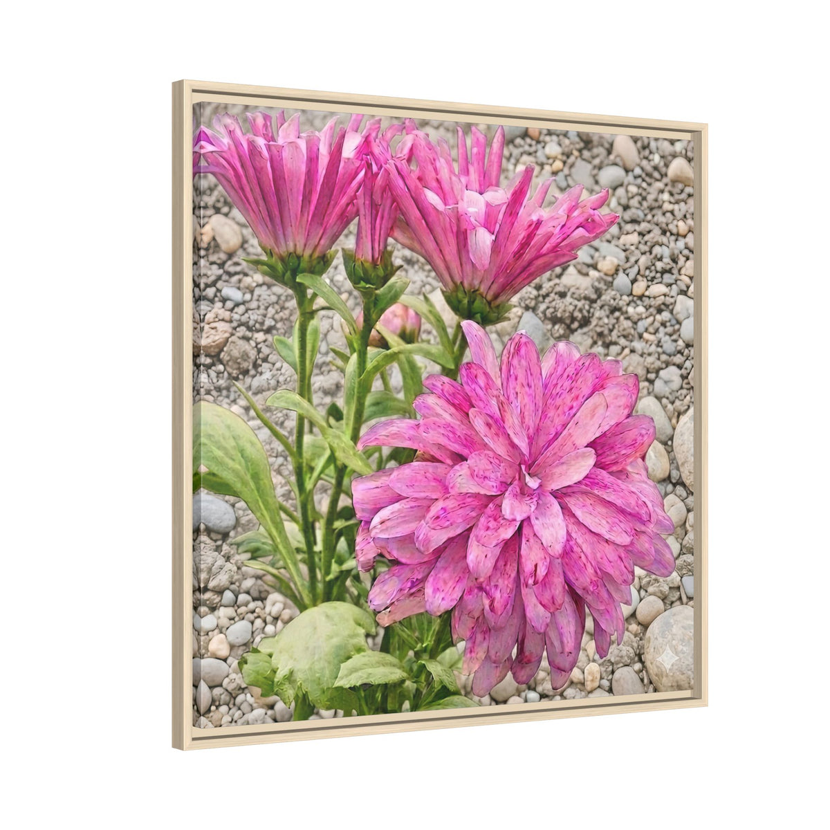 Pink Dahlia Photo Canvas Framed Wall Art