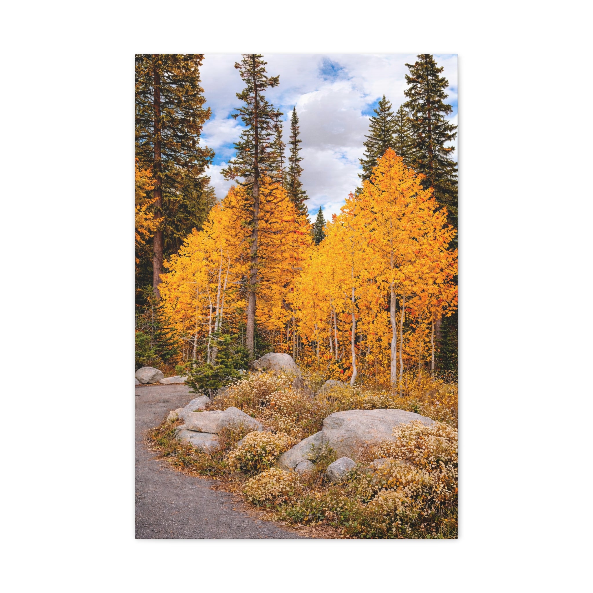 Autumn Aspen