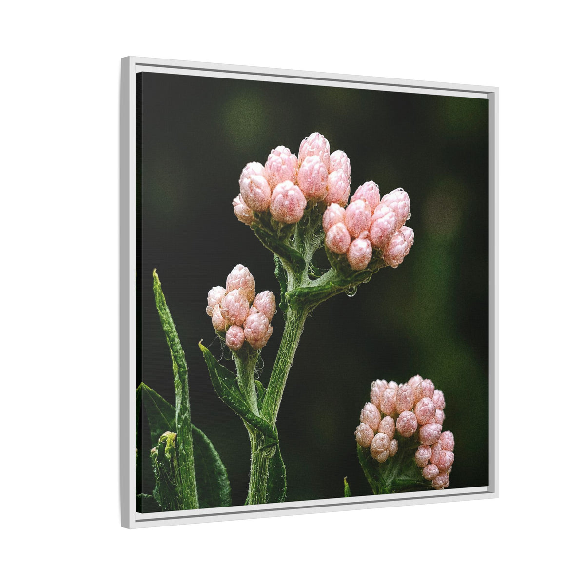 Pink Buds Botanical Print-Framed Matte Canvas Floral Wall Art