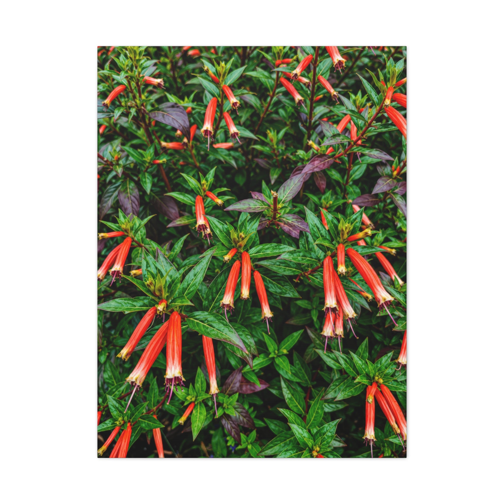 Ember Bells