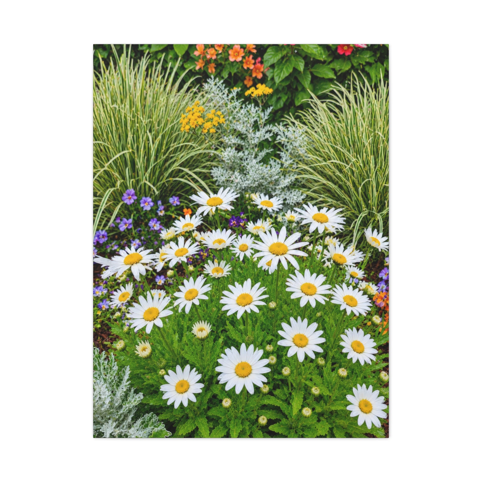 Sunlit Daisies