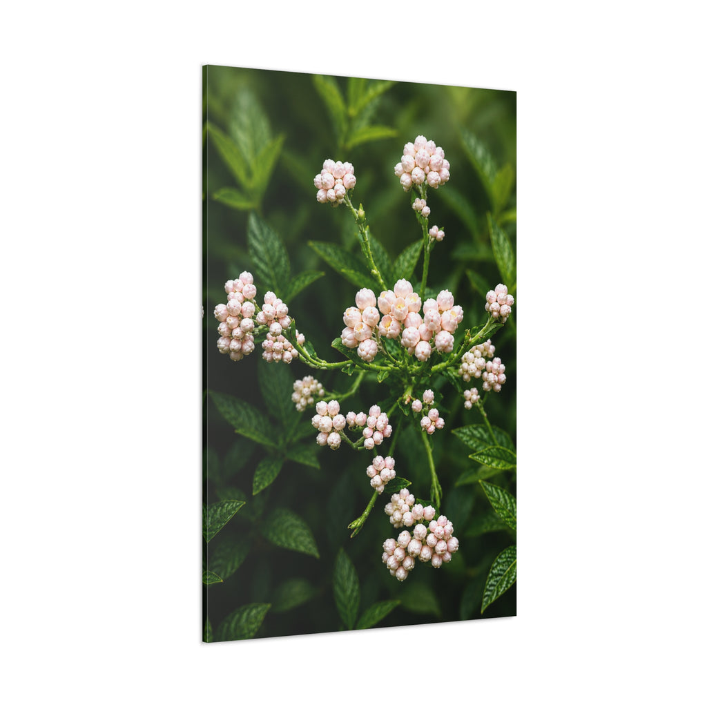 Pearl Dew Blossoms