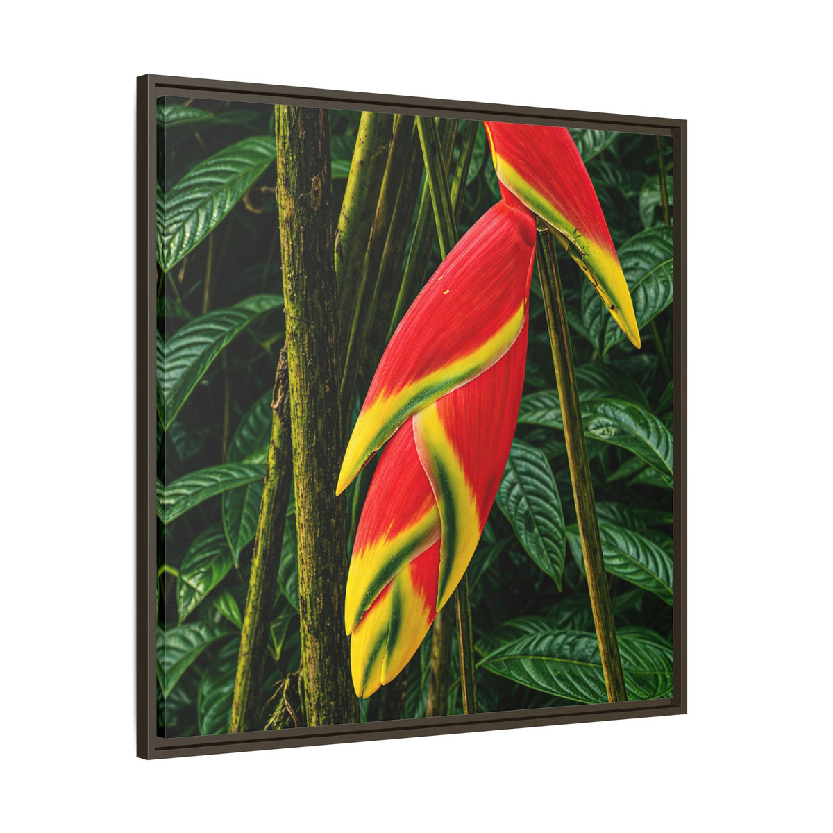 Tropical Heliconia Canvas Print — Framed Matte Wall Art