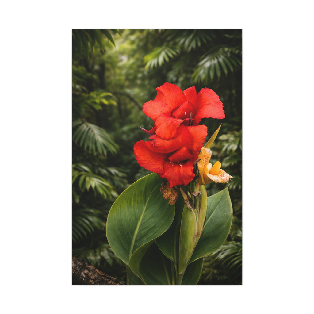 Red Luscious Bloom