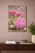 Whispering Pink Petals