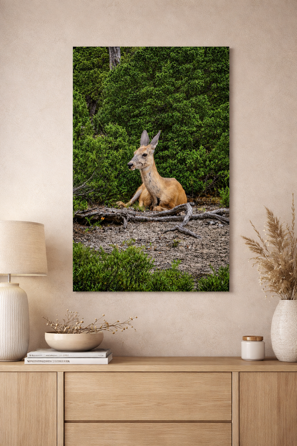 Resting Deer in The Woods