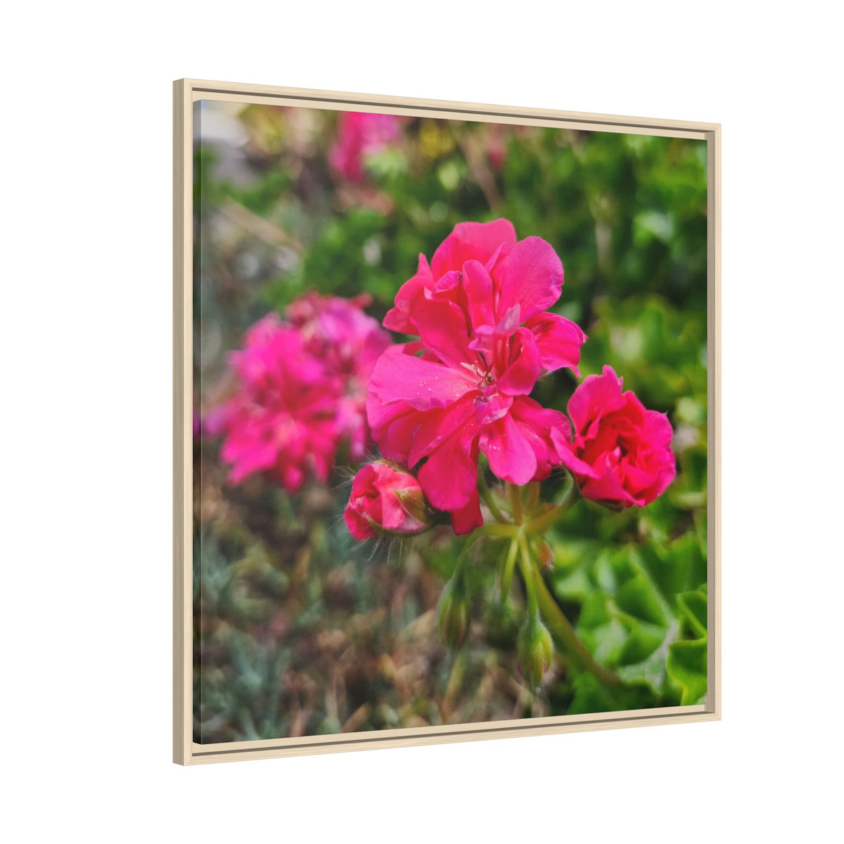 Pink Roses Floral Framed Canvas Wall Art — Matte Multi‑Color