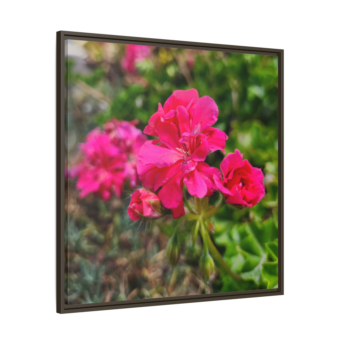 Pink Roses Floral Framed Canvas Wall Art — Matte Multi‑Color