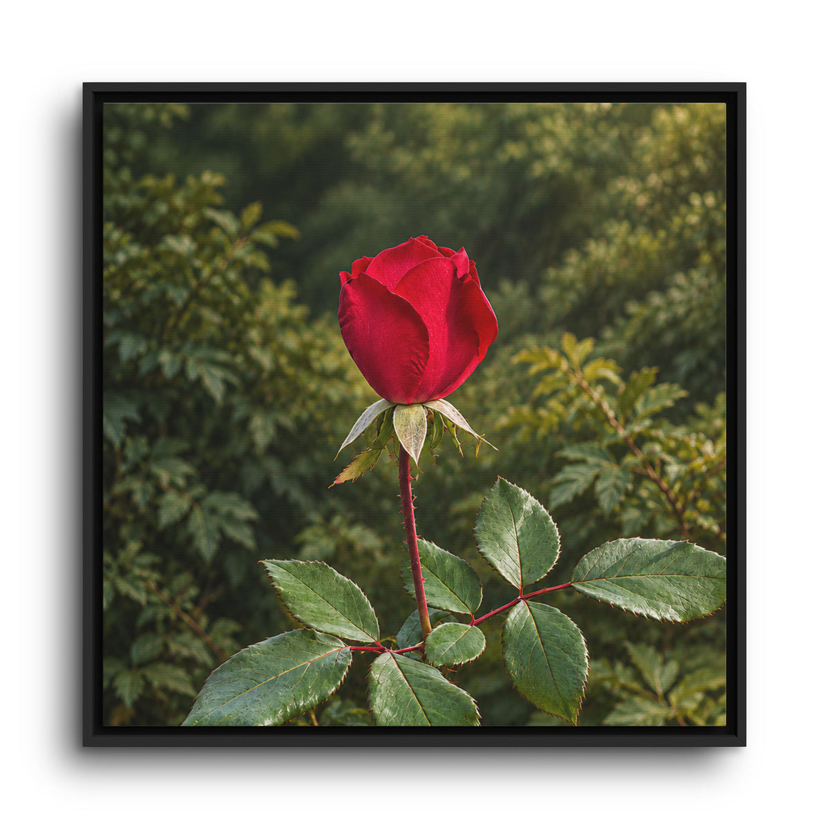 Framed Canvas Red Rose Botanical Wall Art