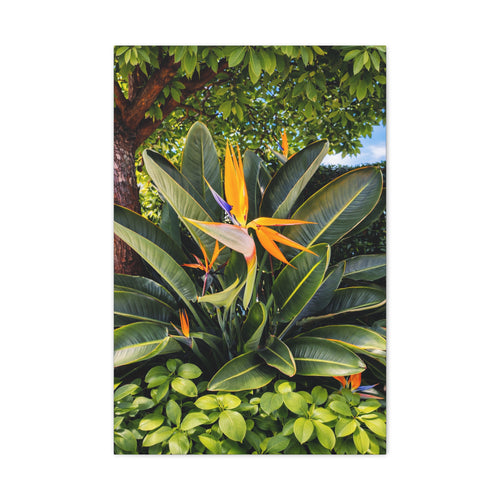 Bird of Paradise Botanical Canvas Wall Art