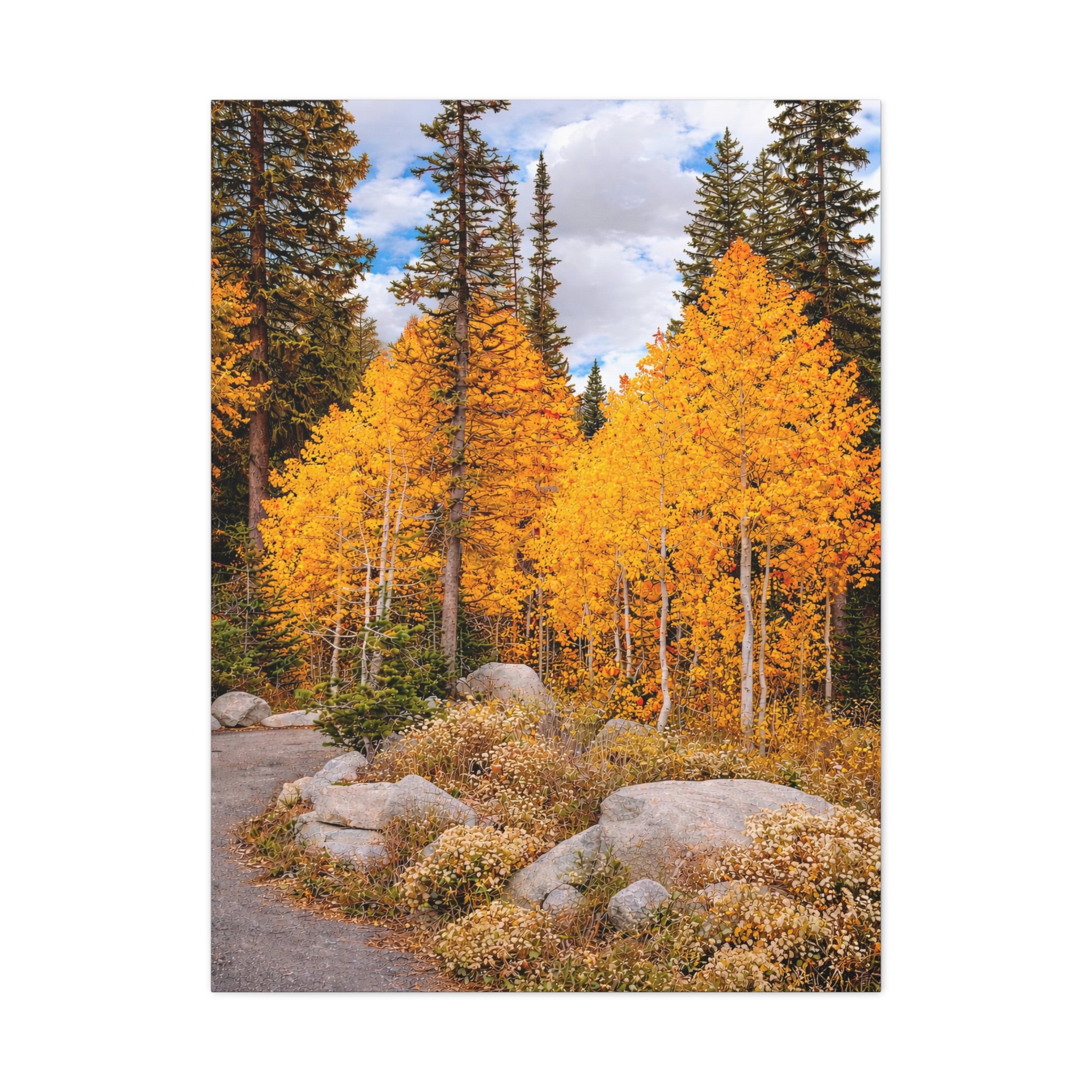 Autumn Aspen