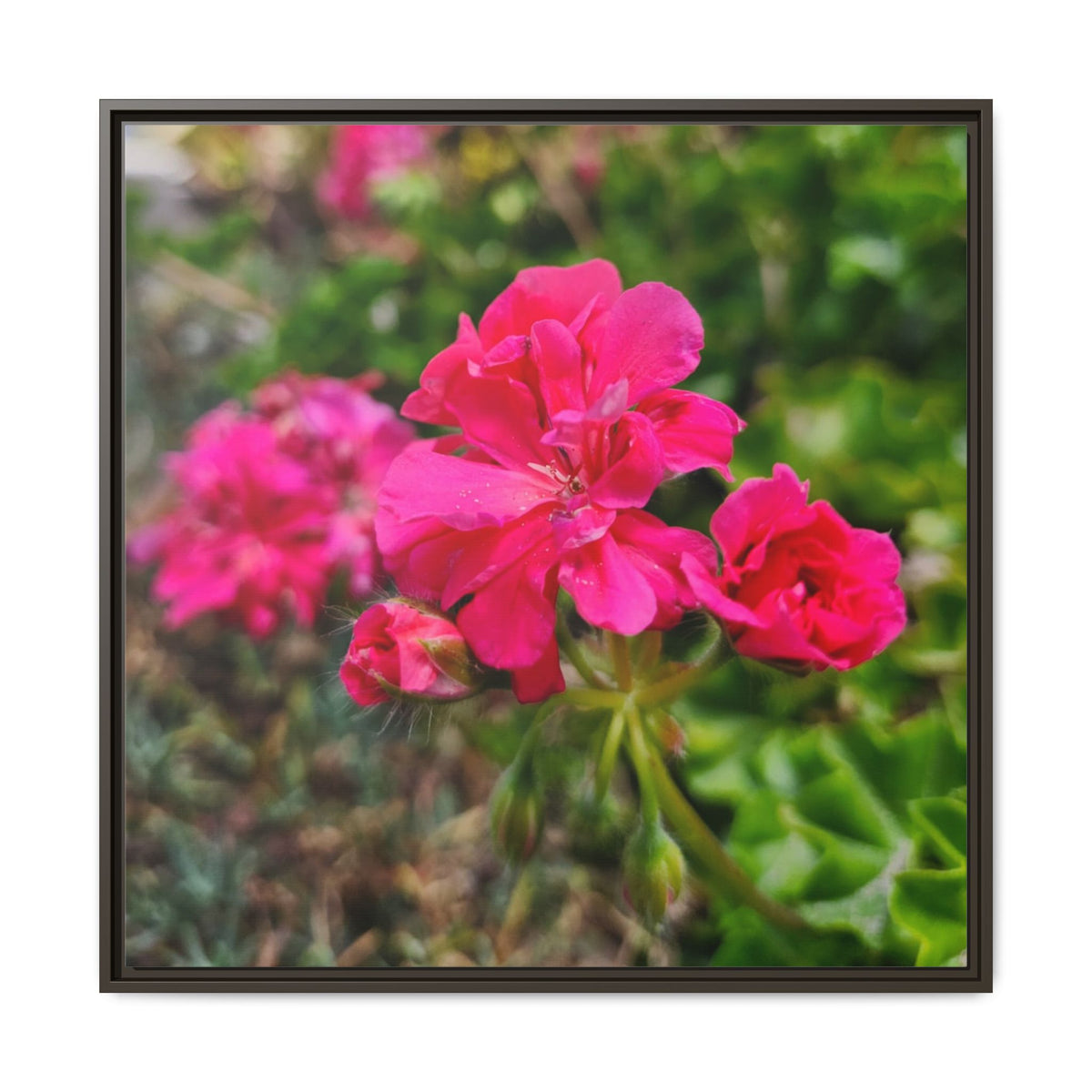 Pink Roses Floral Framed Canvas Wall Art — Matte Multi‑Color