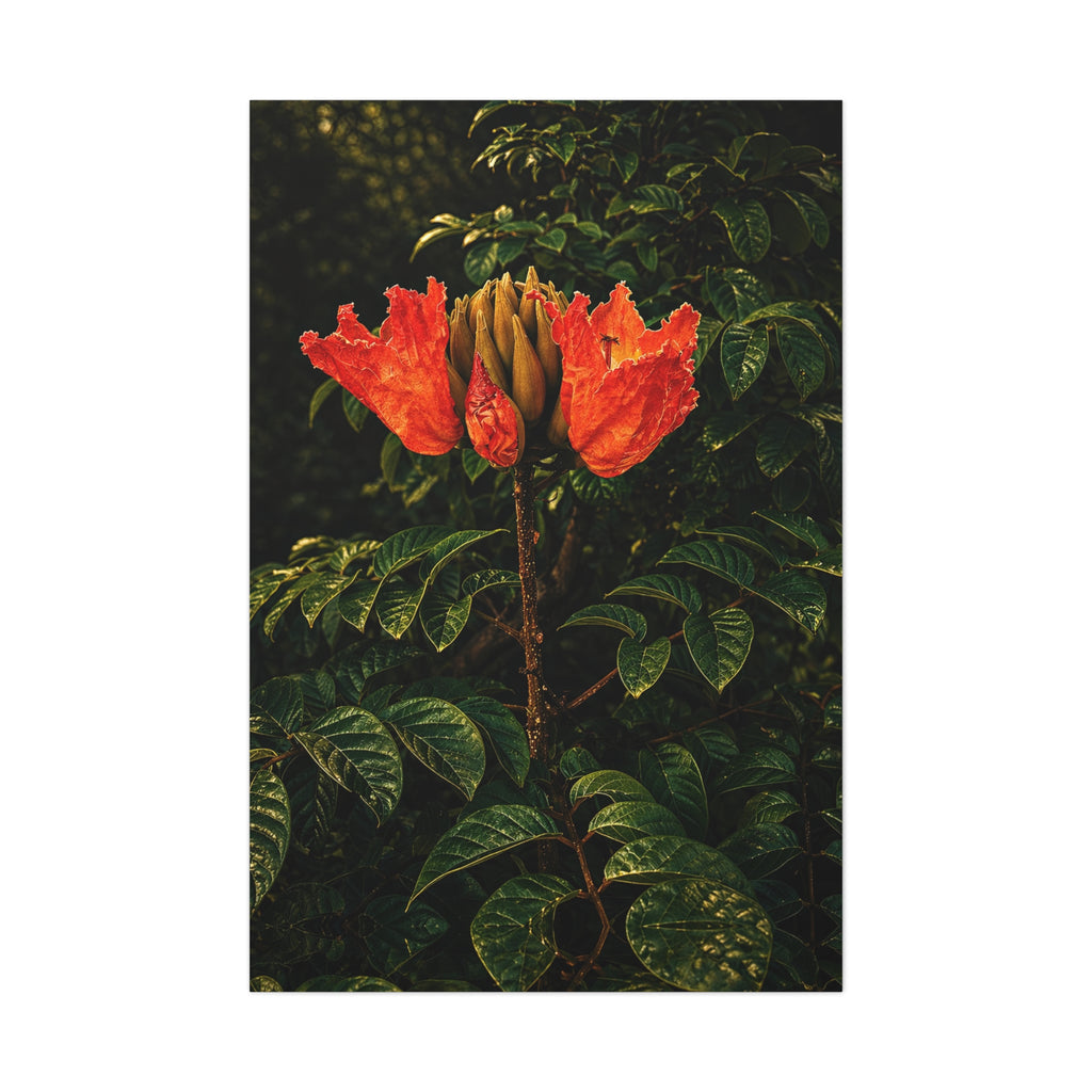 Red Blossom Unveiled