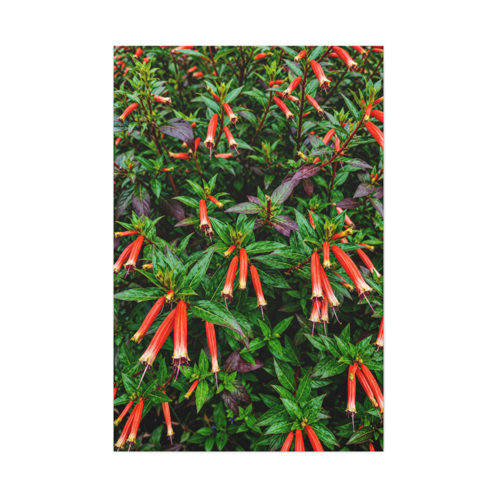 Ember Bells