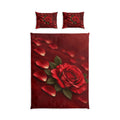 Red Rose Cotton Bed Set