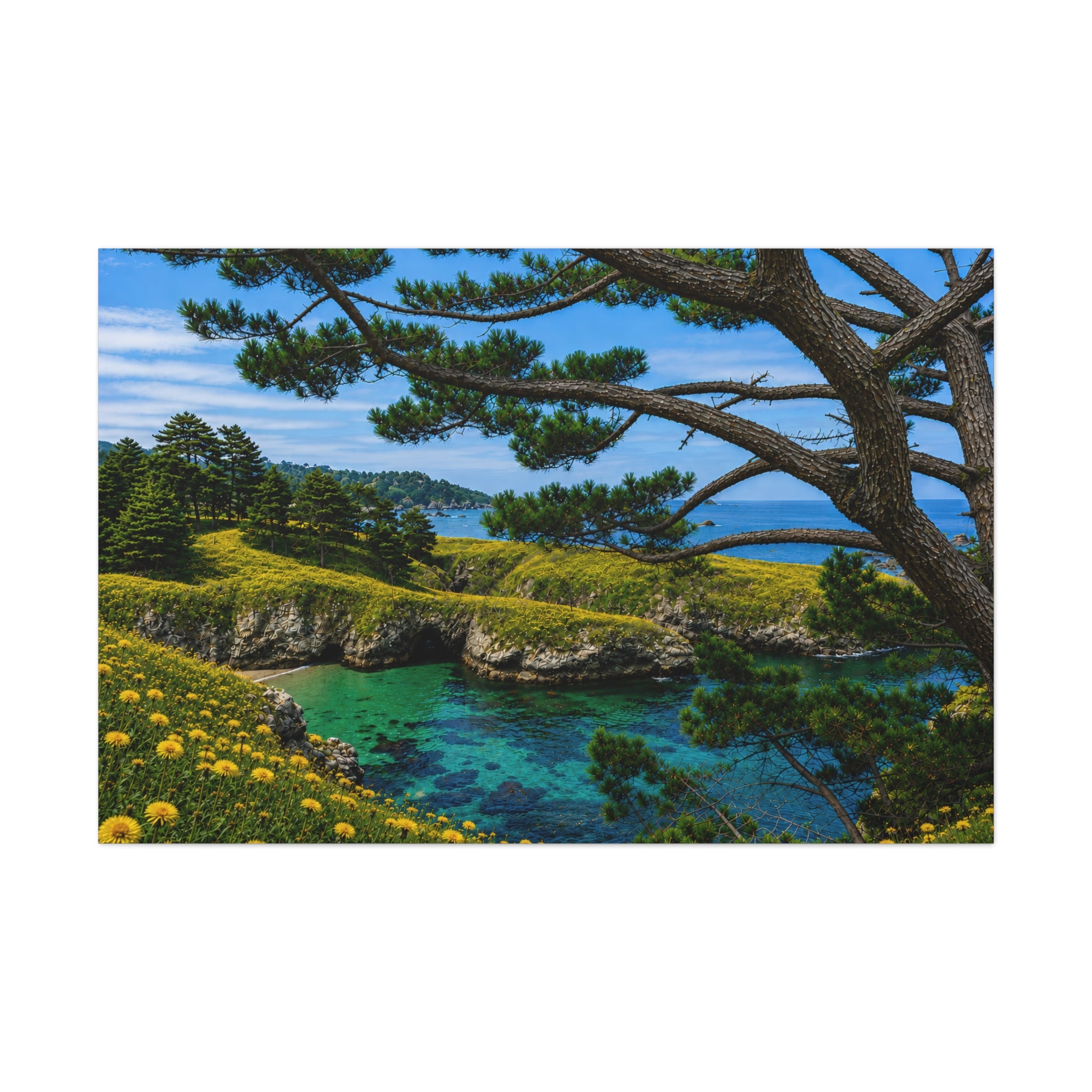 Pine Overlook