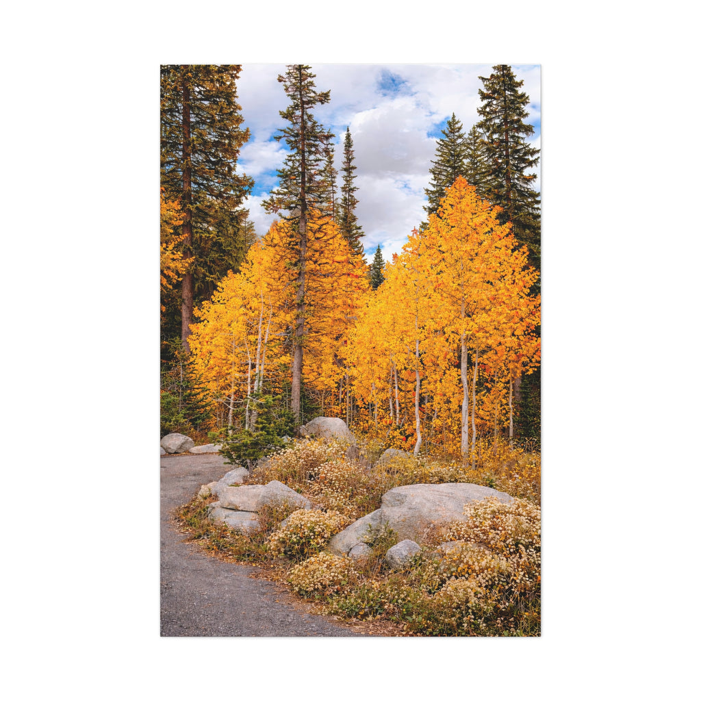 Autumn Aspen