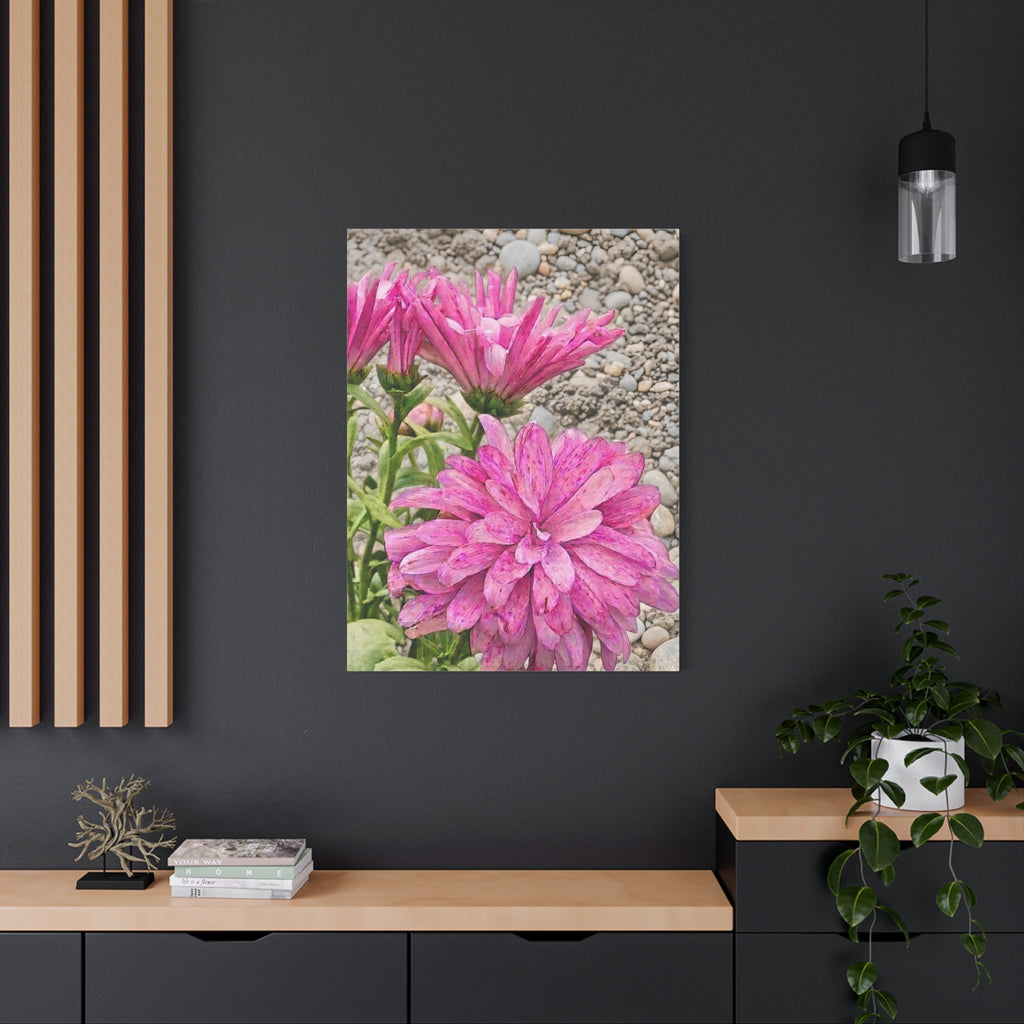 Pink Dahlia Floral Canvas Print - Classic Botanical Wall Art