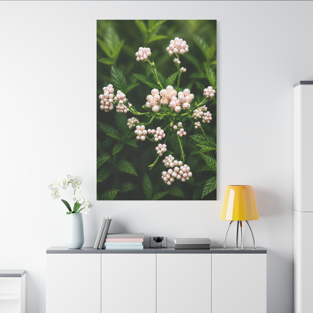 Pearl Dew Blossoms