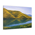 Sunflower Laden Mountains