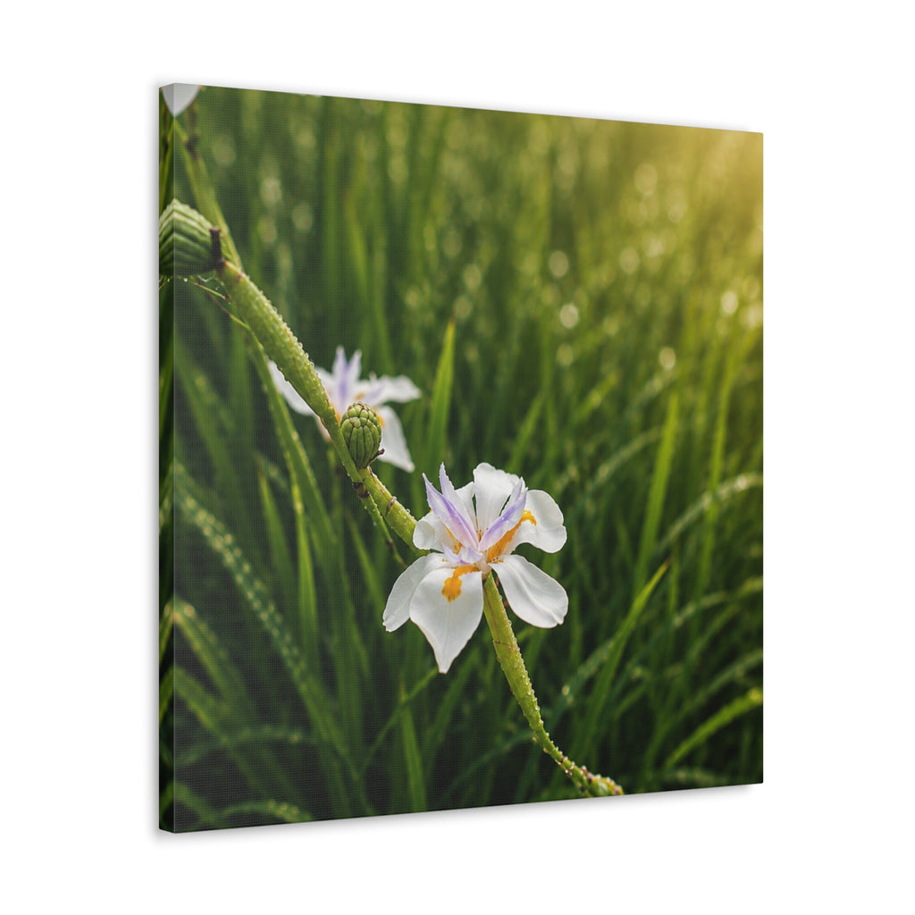 Pearl Dew Blossom Canvas Wall Art-Serine Botanical Nature Print