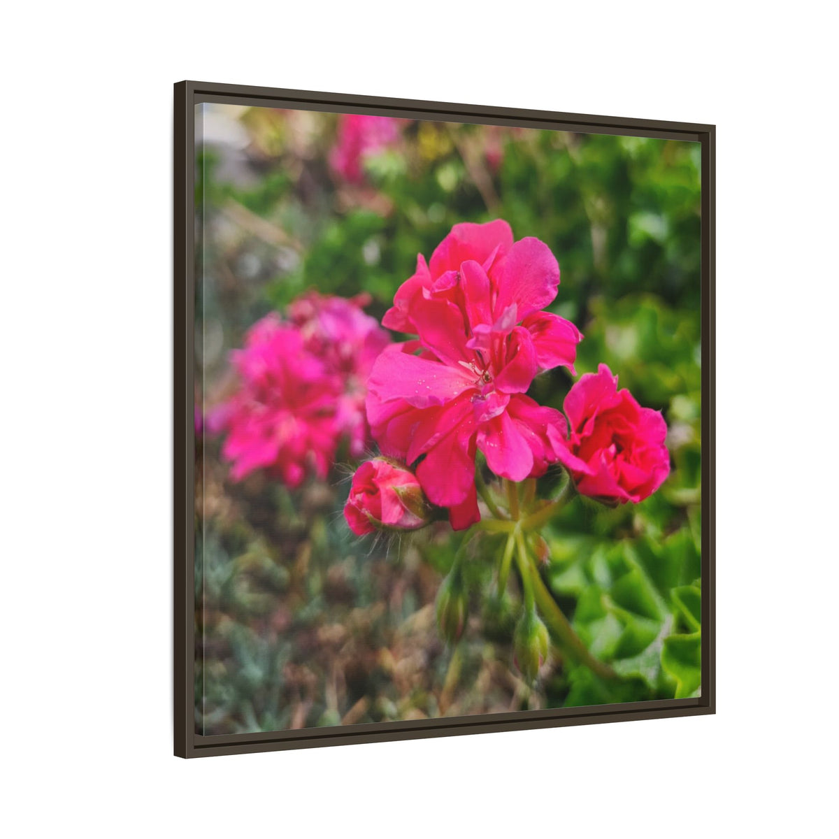 Pink Roses Floral Framed Canvas Wall Art — Matte Multi‑Color