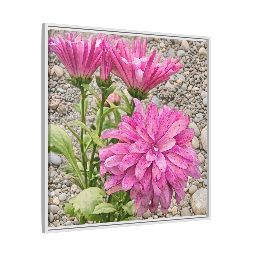 Pink Dahlia Photo Canvas Framed Wall Art