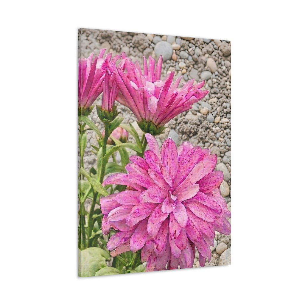 Pink Dahlia Floral Canvas Print - Classic Botanical Wall Art