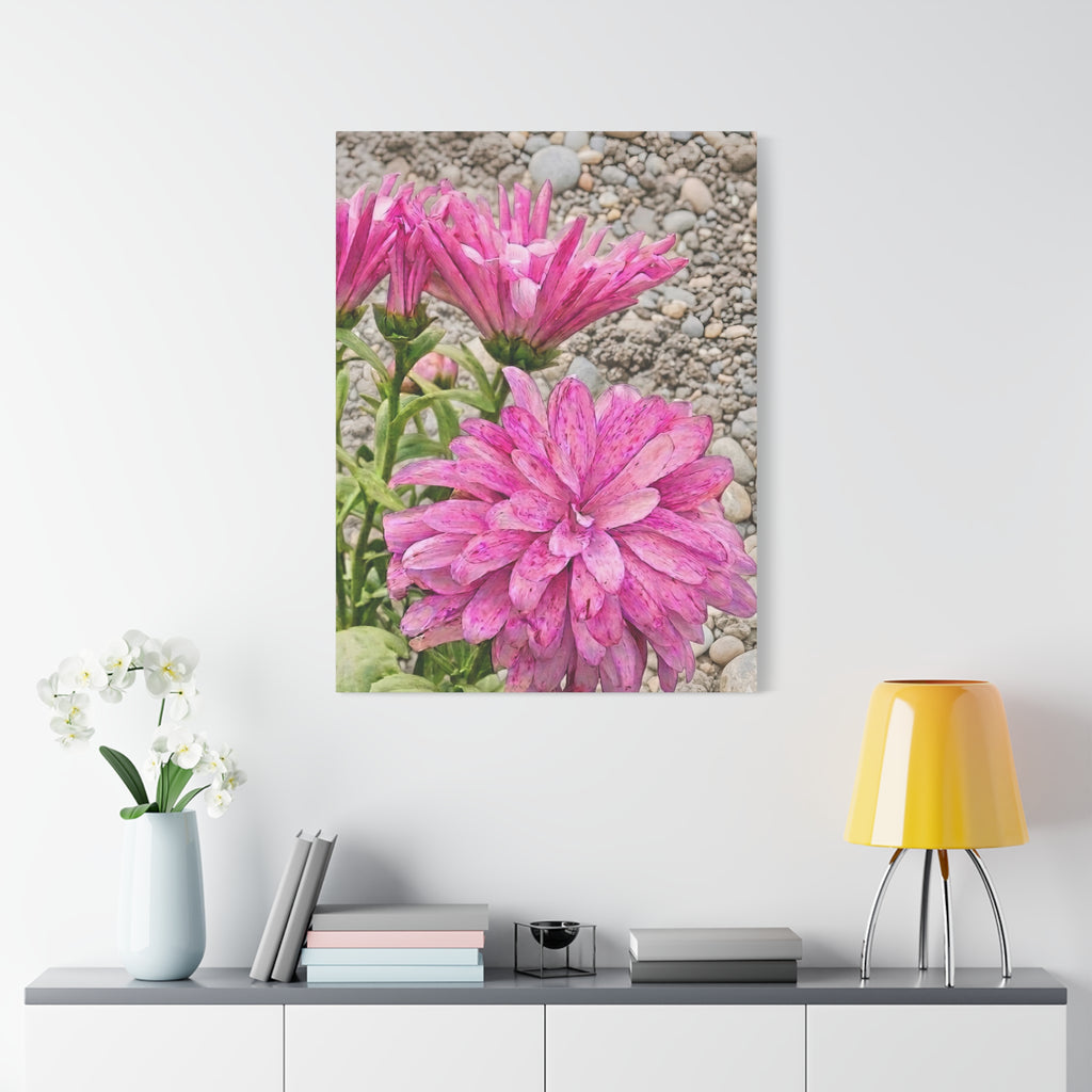Pink Dahlia Floral Canvas Print - Classic Botanical Wall Art